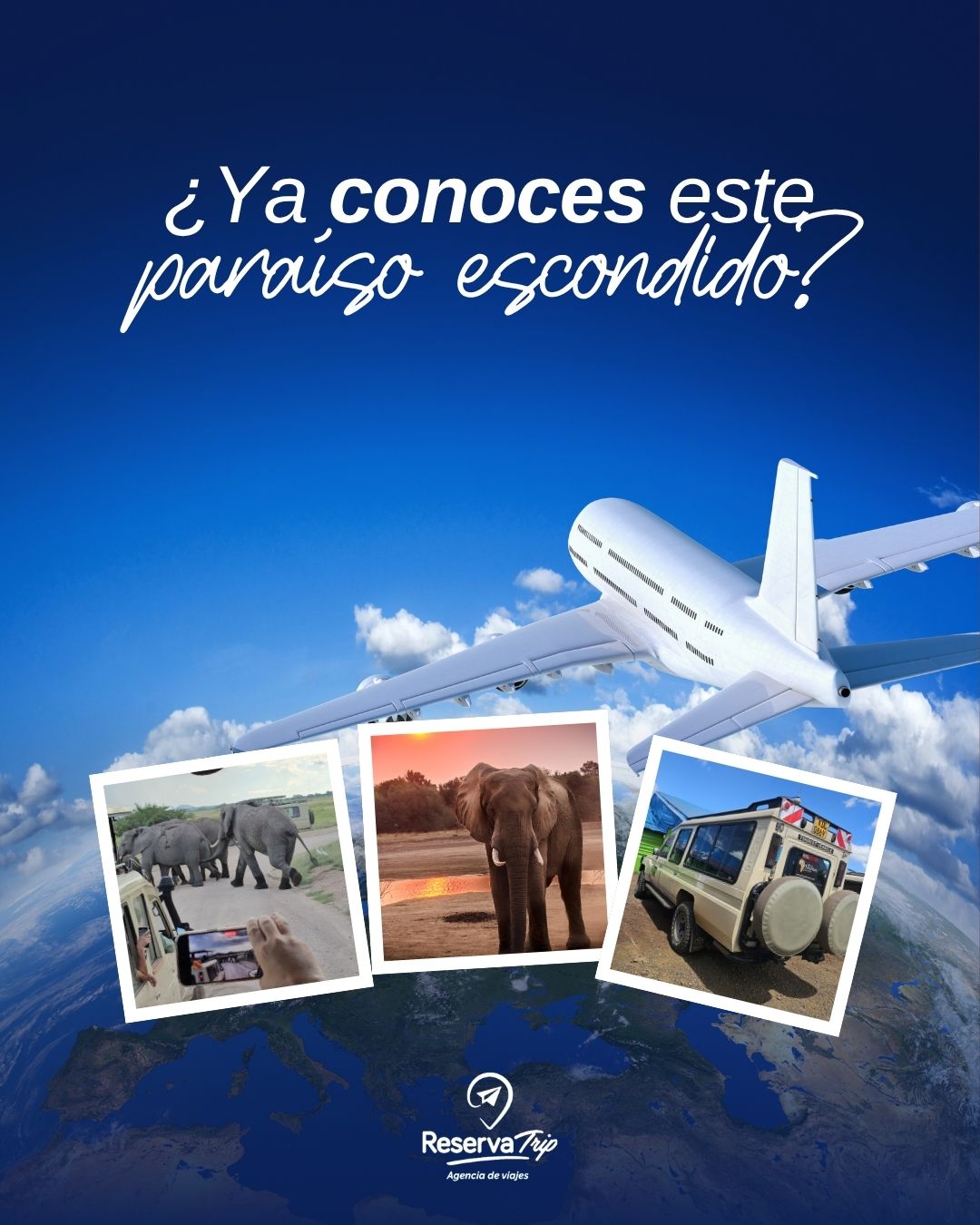 Trabajo de diseño gráfico del portafolio de una agencia de marketing digital en Colombia